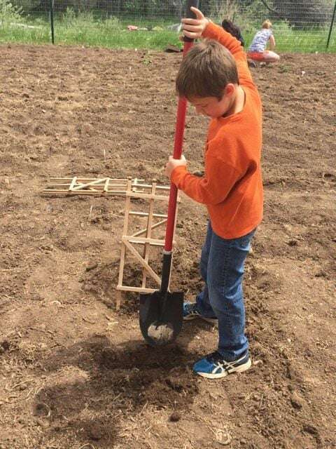 Picture of Black Hills Surgical Hospitals worksite garden