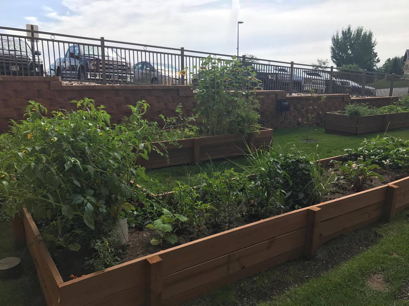 Picture of Black Hills Surgical Hospitals worksite garden