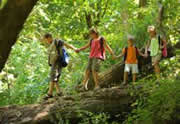 family hiking in the woods