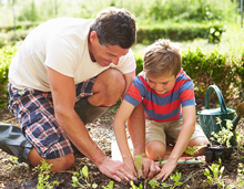 father and son planting a garden