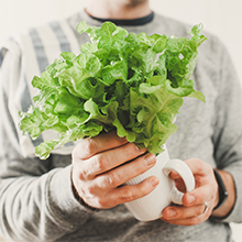 man with lettuce