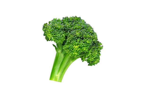 Broccoli Lesson Plan - HealthySD.gov