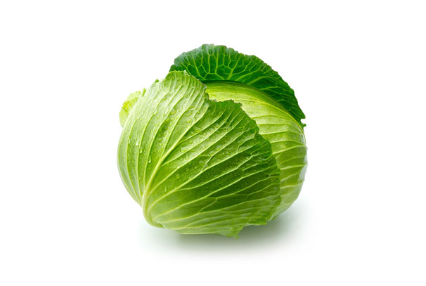Cabbage Lesson Plan 