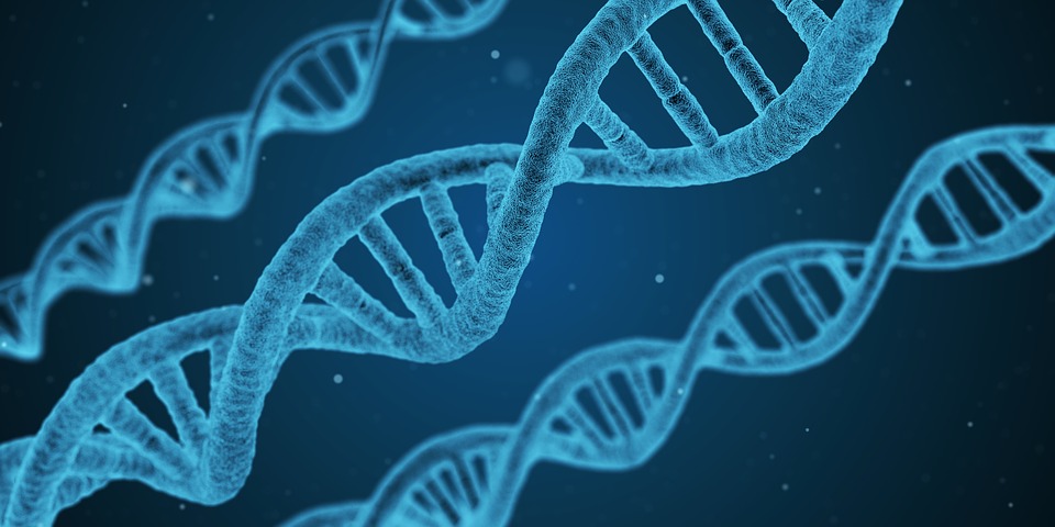 picture of three DNA strands