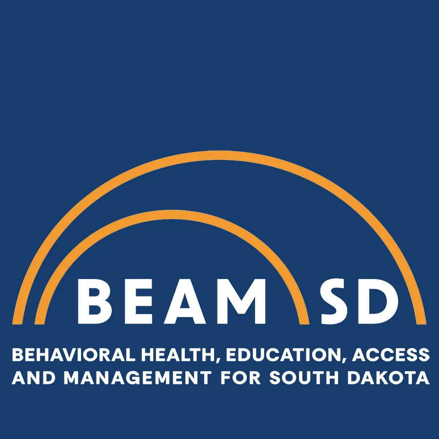 BEAM-SD